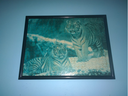 Cuadro De Tigres Azules Enmarcado
