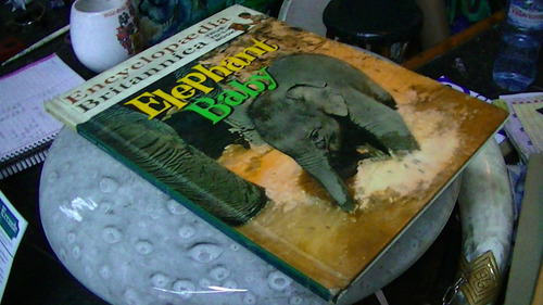 Elephant Baby. True To Life Books Britannica. Libro Infantil