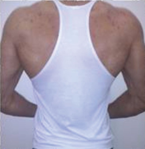Camiseta Regata No Pain No Gain Cavada Musculação