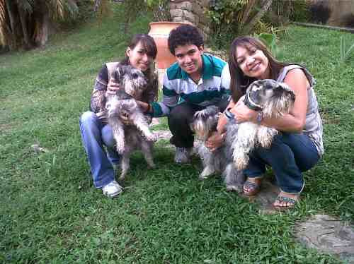 Imagen 2 de 6 de Hotel Y Pensión Para Perros. Guarderia Y Hospedaje Canino
