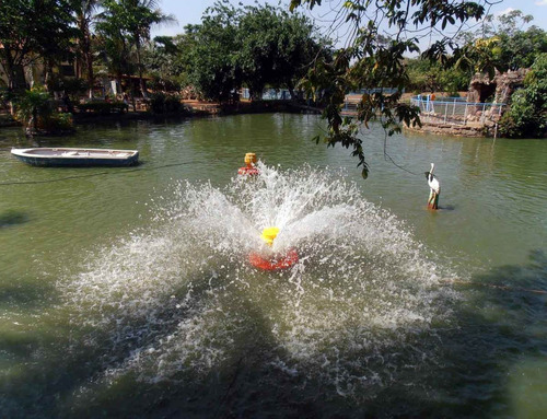 Imagem 7 de 8 de Aerador Chafariz P/ Tanques De Peixes 1,5 Cv - Monofásico