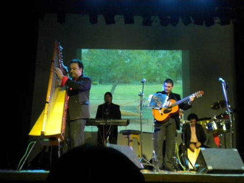 Imagen 8 de 10 de Show De Arpa Cumpleaños ,serenatas, Eventos Privados...