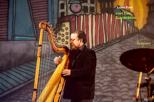 Imagen 4 de 10 de Show De Arpa Cumpleaños ,serenatas, Eventos Privados...