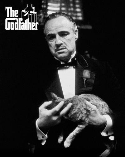 The Godfather - Gato - Poster Importado De 50 X 40 Cm
