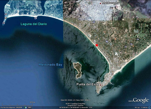Imagen 14 de 14 de Alquiler Apartamento Rambla Y Parada 15 De Playa Mansa