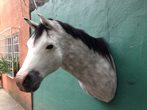 Animales Disecados 100% Artificiales Caballo