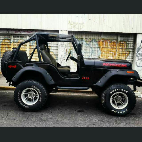 Bushwacker Buchespara Jeep Cj7, Cj5, Y Wrangler