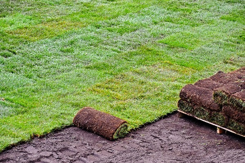 Empresa De Jardinería, Mantenimiento, Poda Y Cesped.