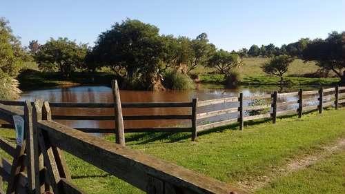 Campo 1ha-1,5ha,lago,vistas,cerca Pza Toros Colonia Dde65mil