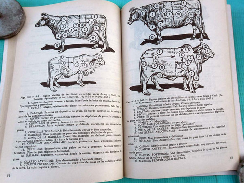 Biología Y Patología De La Reproducción De Los Bovinos