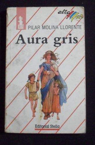 Aura Gris Pilar Molina Llorente