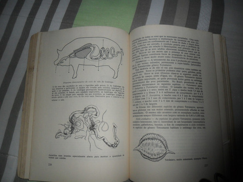 Zootecnia E Veterinária - Eduardo Millen - Teoria E Práticas