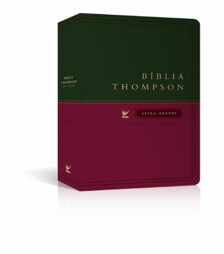 Bíblia De Estudo Thompson Letra Grande Luxo  17,5x25 Grande
