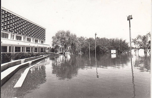 1977 Mercedes Fotografia Real Club Remeros Inundado Soriano