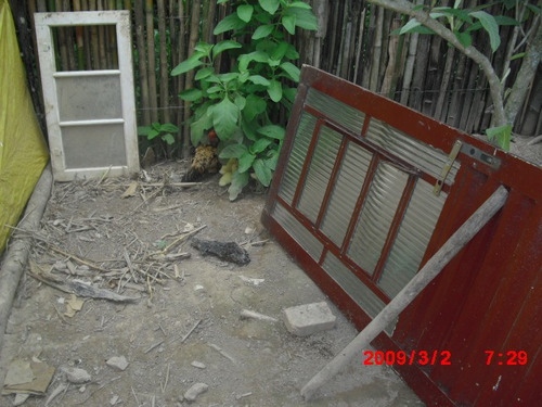 Imagem 13 de 15 de Chacara No Bairro Taquaras Prox. Cidade | 48216 - 48216