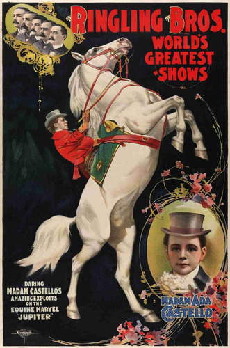 Lienzo Canvas Arte Anuncio Circo Ringling Bros 1899 75x50