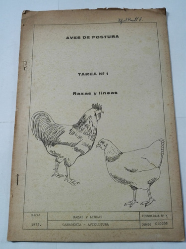 Aves De Postura Razas Y Lineas 1972