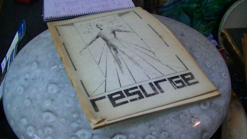 Revista Resurge Año 4 Numero 29 Junio 1995