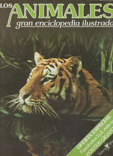 Curso De Zoología Más Dos Revistas De Los Animales Y Poster