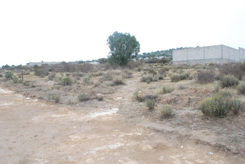 Imagen 8 de 14 de Gran Oportunidad Terreno En Acayuca