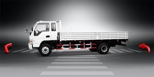 Caja Con Barandas Rebatibles Para Camion
