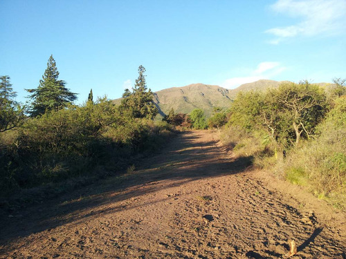 Cuarto De Hectárea En Zona Muy Turística
