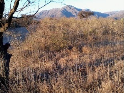 Oportunidad Terreno Con Escritura Y Servicio De Electricidad En Aguas Azules