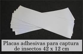 Imagen 5 de 5 de Trampa Laminas Adhesivas Para Trampa De Luz X 50 Unidades
