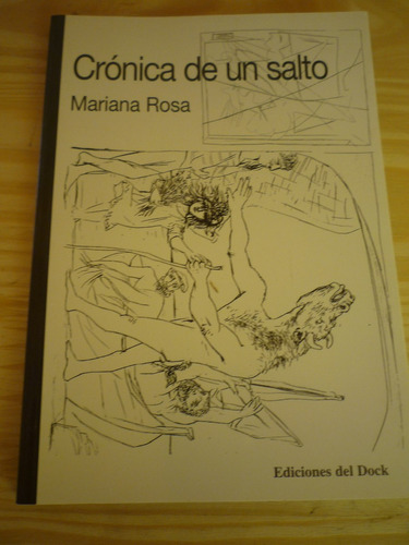 Crónica De Un Salto. Mariana Rosa.