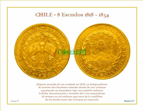 Lámina 19- 8 Esc 1826 Oro Banderas Dl Album Monedas De Chile