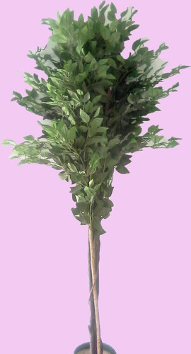 Plantas De Interior Artificiales - Ficus Grande 185 Cm