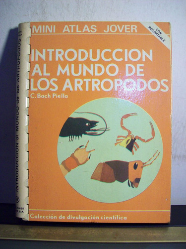 Adp Introduccion Al Mundo De Los Artropodos Bach Piella