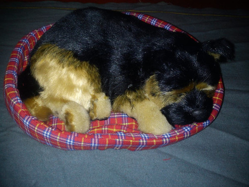 Hermosos Cachorros De Peluche, Roncadores Baratos!!!