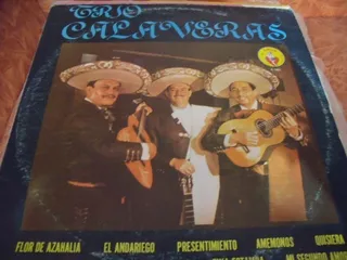 Lp Trio Calaveras, El Andariego
