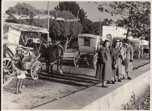 1953 Antigua Fotografia Con Carruajes Itajai Brasil Rara