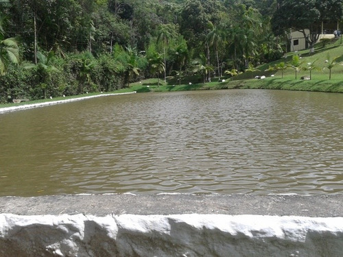 Imagem 13 de 14 de Chácara Recanto Da Paz