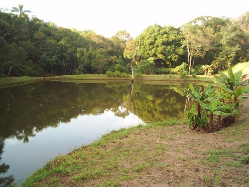 Sitio Em Ibiúna; 80.600 M2 Piscina, Lindo Lago, 02 Nascentes