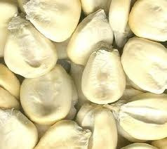 Sementes De Milho Branco Gigante Cuzco Ou Peruano