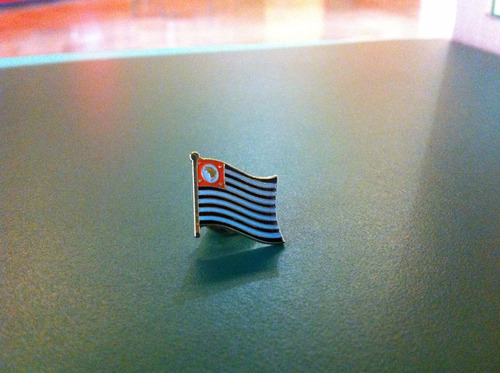 Pin Da Bandeira Do Estado De São Paulo