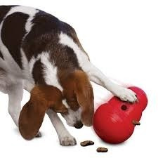 Kong Wobbler- Juguete Dispenser De Alimento. Perro. Large