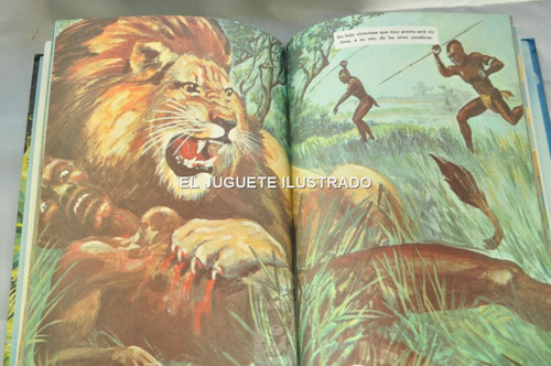Leones Novaro Gran Album Infantil Juvenil Animales 1962