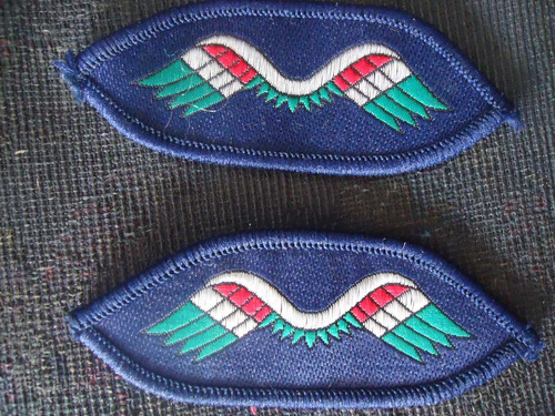 Insignia  Guia Scout Nacionales De Coleccion