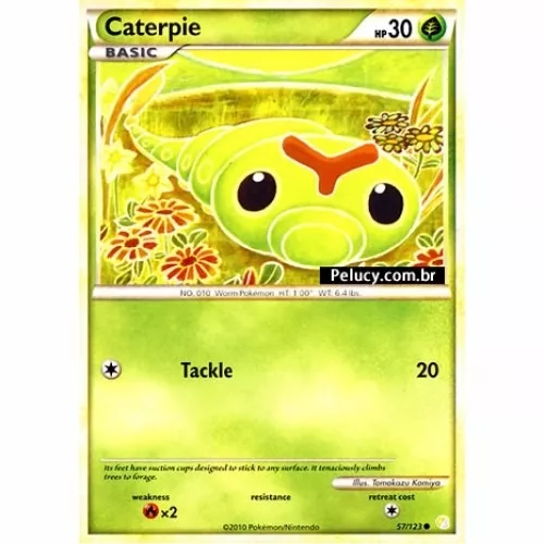 Cartas Pokemon Planta (Escolha Livre) - B