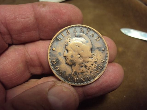 Moneda Argentina 2 Centavos 1891 Ref (a 81) (Usado)