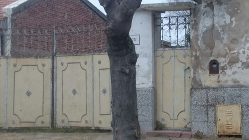 Imagen 12 de 15 de Vendo Casa A Reciclar Oportunidad/ Ptdo De Coronel Suarez