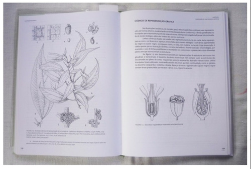 Livro: Ilustração Botânica: Princípios E Métodos