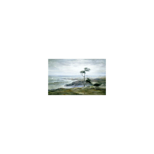 Pintura Arte Lone Tree Monhegan Island  Art, 20 X13.38 