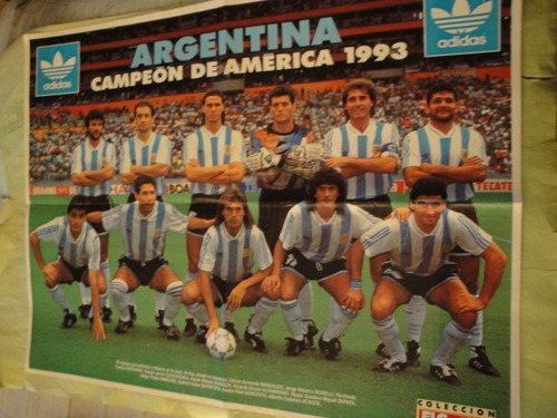 Lamina Seleccion Argentina Campeon America 1993