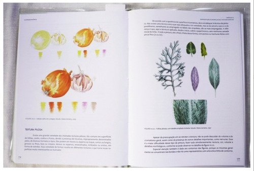 Livro: Ilustração Botânica: Princípios E Métodos