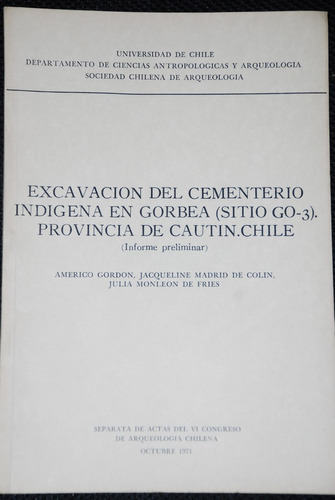 Excavación Cementerio Indigena Gorbea Cautin Arqueologia